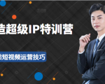 超级IP特训营：表演表达、高效输出优质短视频运营技巧，价值999元| 鹿鸣网创