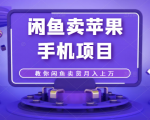 闲鱼卖苹果手机项目,教你闲鱼卖货月入上万| 鹿鸣网创