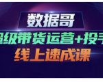 数据哥·超级带货运营+投手线上速成课,快速提升运营和熟悉学会投手技巧| 鹿鸣网创