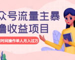 公众号流量主暴利撸收益项目，空闲时间操作单人月入过万| 鹿鸣网创