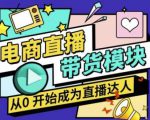大鹏·电商直播带货课,系统学习直播带货各环节技巧和套路| 鹿鸣网创
