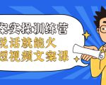 文案实操训练营，只说话就能火的短视频文案课| 鹿鸣网创