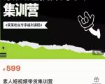 夜草与千里马素人短视频带货集训营，薛辉团队价值599| 鹿鸣网创
