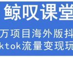 鲸叹号·海外TIKTOK训练营,百万项目海外版抖音tiktok流量变现玩法| 鹿鸣网创