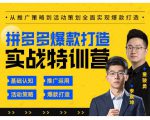 玺承云·拼多多爆款打造实战特训营，一套从入门到高手课程，让你快速拿捏拼多多| 鹿鸣网创