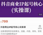 抖音商业IP起号核心实操课,带你玩转算法,流量,内容,架构,变现| 鹿鸣网创
