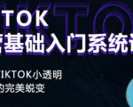Tiktok实操进阶课程,体验从tiktok小透明到大佬的完美蜕变| 鹿鸣网创