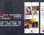 麦子互娱短视频带货·0基础做好物分享账号，无需出镜无需货源无需拍摄| 鹿鸣网创