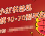 视频号小红书抖音挂机项目，小白无脑操作，按照要求来，单号每天几十米| 鹿鸣网创