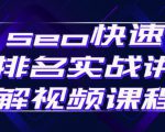 seo快速排名实战讲解视频课程，揭秘seo快排原理| 鹿鸣网创