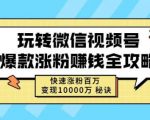 玩转微信视频号爆款涨粉赚钱全攻略,快速涨粉百万变现万元秘诀| 鹿鸣网创