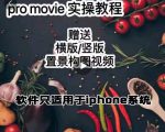 漆十二美食摄影,25节promovie实操高手课节| 鹿鸣网创