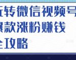玩转微信视频号爆款涨粉赚钱全攻略,让你快速抓住流量风口,收获红利财富| 鹿鸣网创