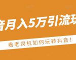 老古董·抖音月入5万引流玩法,看看老司机如何玩转抖音(附赠:抖音另类引流思路)| 鹿鸣网创