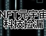 【元本空间sky七级空间唯一ibox幻藏等】NTF捡漏合集【抢购脚本+教程】| 鹿鸣网创