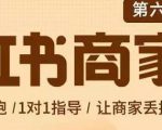 贾真-小红书商家营第6期商家版,21天带货陪跑课,让商家丢掉付流量| 鹿鸣网创