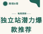 【跨境B哥】独立站潜力爆款选品推荐，测款出单率高达百分之80| 鹿鸣网创