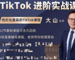 大山老师TikTok进阶实战课:账号详解,流量运营,实战变现,助力你成功出海| 鹿鸣网创