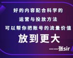 张sir账号流量增长课,告别海王流量,让你的流量更精准| 鹿鸣网创