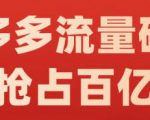 阿杰·拼多多流量破局:如何打黑标，爆款的思路，拼多多流量框架，快速抢占百亿流量| 鹿鸣网创