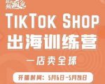 疯人院:TikTok Shop出海训练营（一店卖全球)，出海抢占全球新流量| 鹿鸣网创