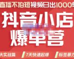 推易电商·2022年抖音小店爆单营，不直播、不拍短视频、日出1000单，暴力玩法| 鹿鸣网创