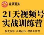 张萌21天视频号实战训练营,裂变涨粉、内容创作、视频号变现 价值298元| 鹿鸣网创