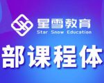 星雪教育淘系高级班，更全的运营提升方案，零基础由浅入深，店铺最新玩法| 鹿鸣网创