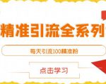 闲鱼精准引流全系列课程，每天引流100精准粉【视频课程】| 鹿鸣网创