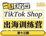 TikTokShop出海训练营（第十三期），打开全球流量新思维，出海抢占全球新流量，一店卖全球| 鹿鸣网创