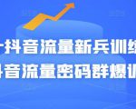Peter抖音流量新兵训练营-破解抖音流量密码群爆训练营(新兵)| 鹿鸣网创