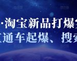 凌童·淘宝新品打爆实战班，直通车起爆、搜索起爆| 鹿鸣网创