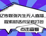 聚亿传媒张先生无人直播，教程素材话术全套打包| 鹿鸣网创