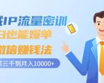 私域IP流量密训：小白也能爆单的微信赚钱法，从月薪三千到月入10000+| 鹿鸣网创