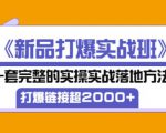 凌童《新品打爆实战班》,一套完整的实操实战落地方法，打爆链接超2000+（28节课)| 鹿鸣网创