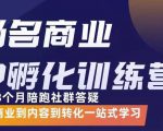 杨名商业IP孵化训练营，从商业到内容到转化一站式学 价值5980元| 鹿鸣网创