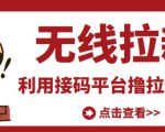 最新接码无限拉新项目，利用接码平台赚拉新平台差价，轻松日赚500+| 鹿鸣网创
