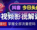 嚴如意·中视频影视解说—掌握流量密码,自媒体运营创收,批量运营账号| 鹿鸣网创