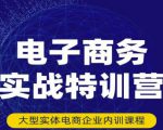 民赛电气内部出品：电子商务实战特训营，全方位带你入门电商，308种方式玩转电商| 鹿鸣网创