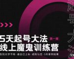 大播·五天起号魔鬼训练营，告别光学不练，逼自己上车，成败与否，5天拿到结果| 鹿鸣网创