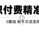 玩转知识付费项目精准引流，给你1套课多账号操作落地方案！| 鹿鸣网创