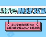 玩转微信视频号赚钱：小白变大咖涨粉百万实现快速变现1000万的现金流| 鹿鸣网创