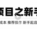 虚拟项目快速起店模式,0成本打造月入几万虚拟店铺!| 鹿鸣网创