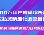8000万用户规模增长方法论私域精细化运营增长，私域流量硬课助力业务跃迁| 鹿鸣网创