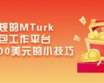 利用正规的MTurk微型众包工作平台,月赚1100美元的小技巧| 鹿鸣网创