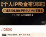 个人IP吸金密训班,打造高价值高效率的个人IP内容体系(价值12800元)| 鹿鸣网创