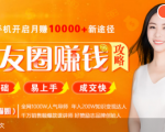 全网千万人气导师亲授：零基础/易上手的朋友圈赚钱攻略，让你轻松月入过万| 鹿鸣网创