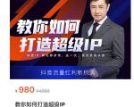 教你如何打造超级IP，抖音流量红利新机遇（价值980元）| 鹿鸣网创