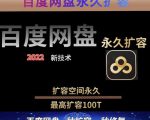 百度网盘无限扩容技术，外面卖399的，无论自己用还是用做引流都可以| 鹿鸣网创