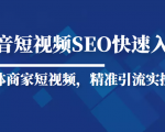 抖音短视频Seo搜索排名优化新手快速入门教程，实体商家短视频，精准引流实操课| 鹿鸣网创